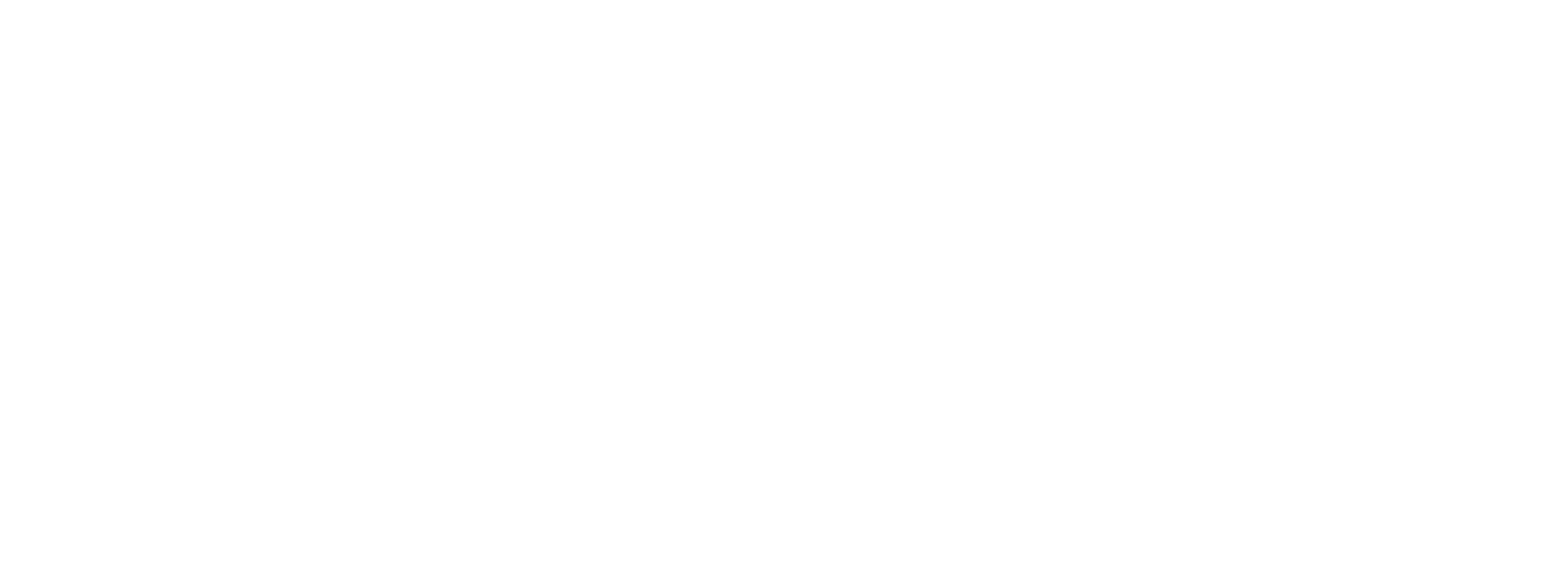 Kara Connect - Logo B - RGB - White